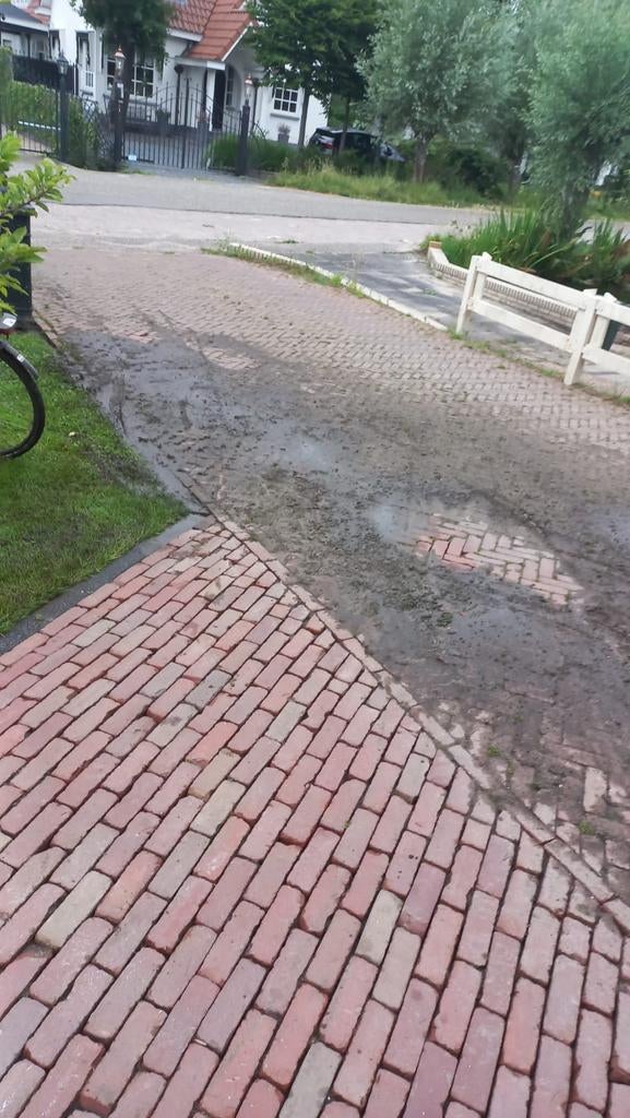 Vakman op het gebied van tuinaanleg en onderhoud