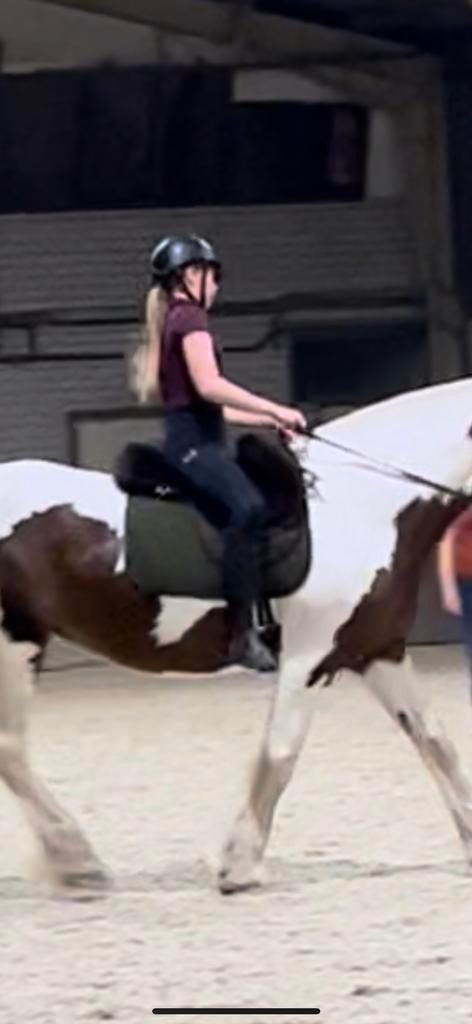 Bonte bareback, Ophalen of Verzenden, Zo goed als nieuw