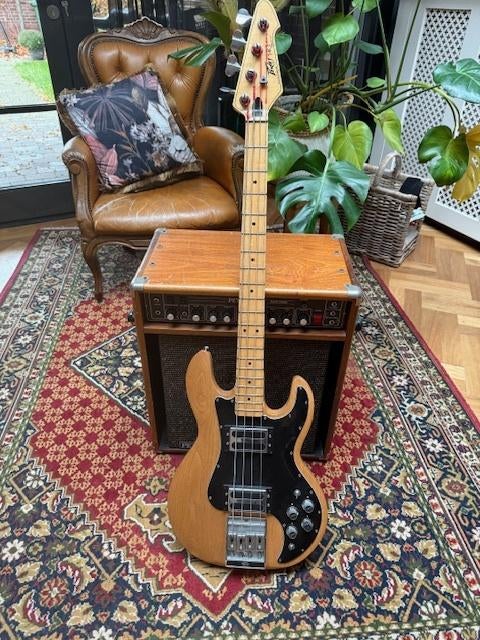 Peavey T-40 vintage basgitaar (1979), Ophalen, Gebruikt, Basgitaar, Minder dan 50 watt
