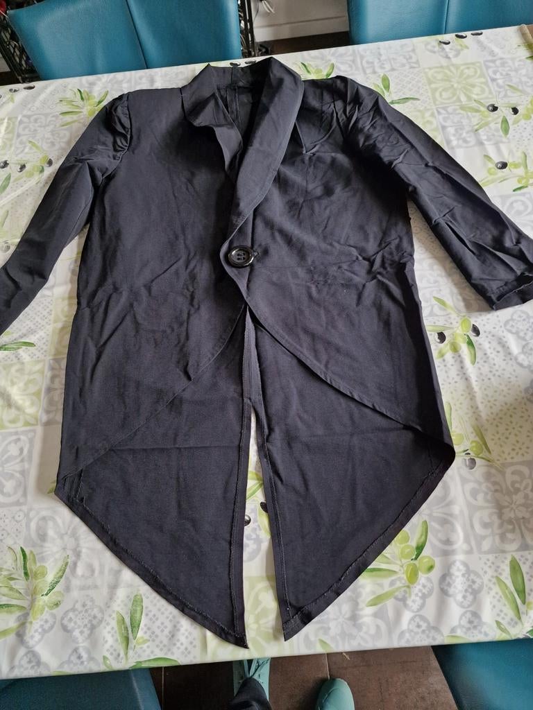 Slipjas voor carnaval, stof is rekbaar, Ophalen of Verzenden, Blauw