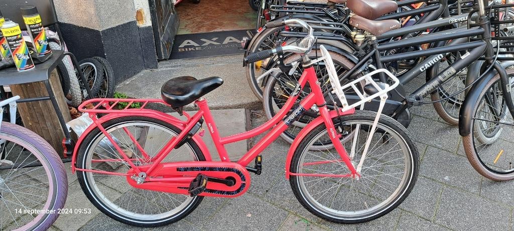 Puntgave Alpina fietsen cargo of clubb.20 e 22 inch, Ophalen of Verzenden, Zo goed als nieuw, 20 inch of meer, Alpina