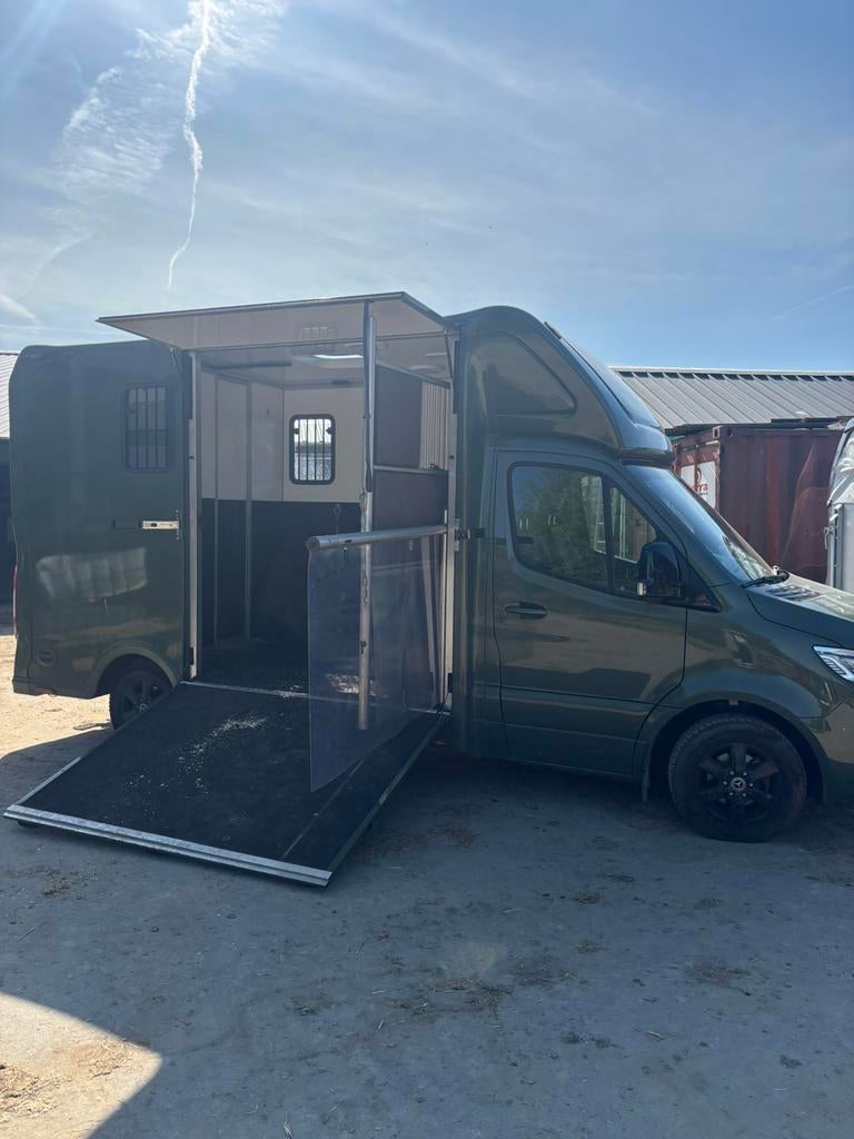 Paard B.V. Paardentaxi / Paardenvervoer / Paardentransport