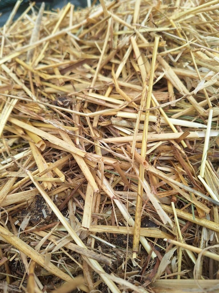 Gratis mest voor geweldige compost, Ophalen of Verzenden, Mest