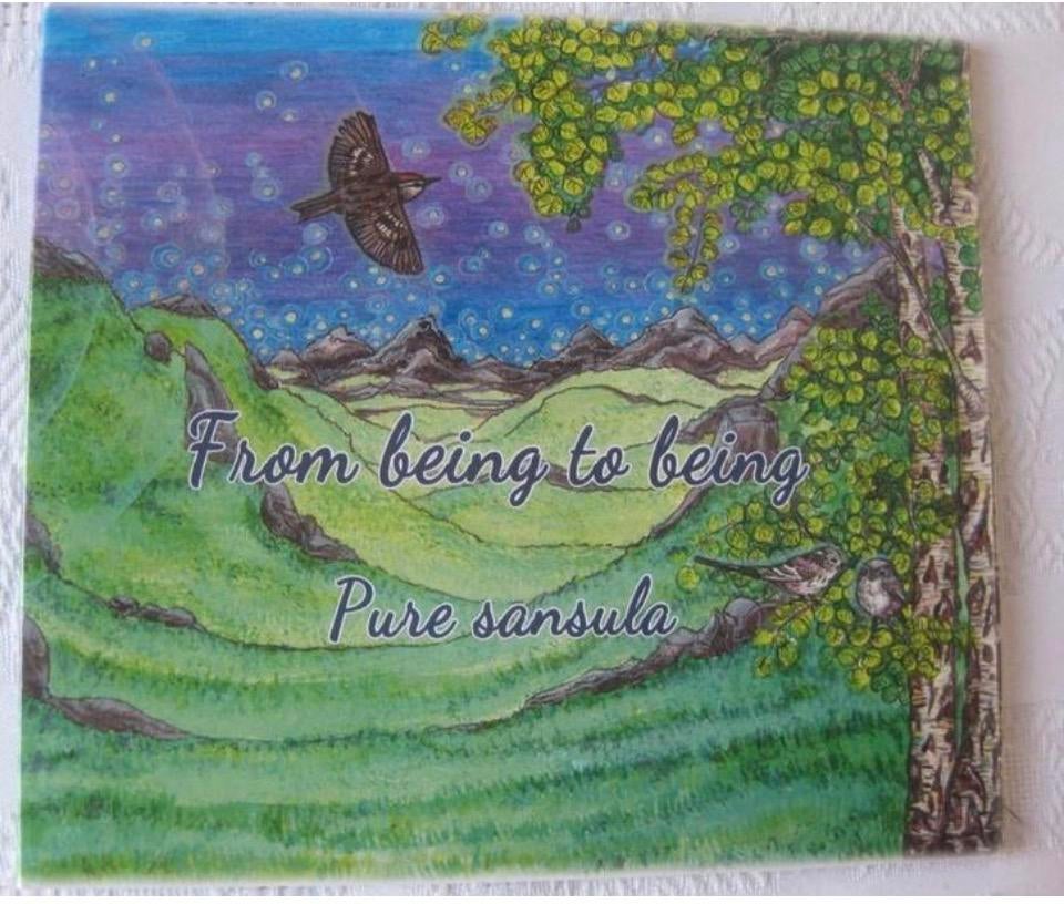 CD From Being to Being Pure, Ophalen of Verzenden, Zo goed als nieuw, Muziek instrumentaal