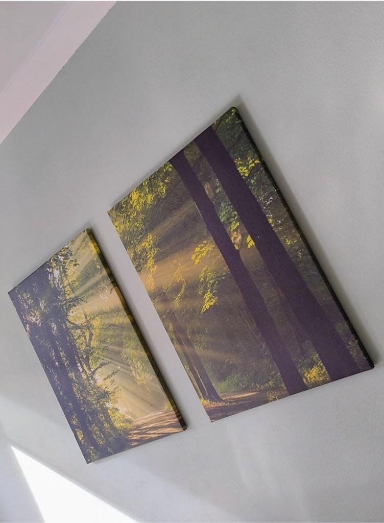 Fotocollage: Zonlicht in Bospad - Canvasdoeken (2x), Antiek en Kunst, Ophalen