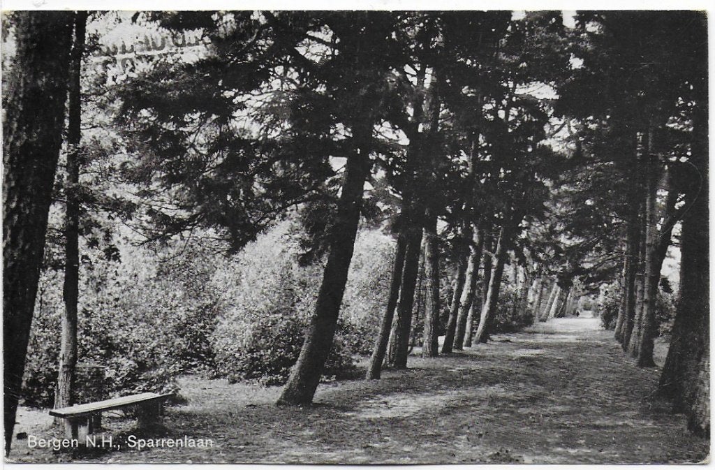 Bergen Sparrenlaan Oude Gelopen Ansichtkaart (B1114 ) 1960, Ophalen of Verzenden, 1960 tot 1980, Gelopen, Noord-Holland