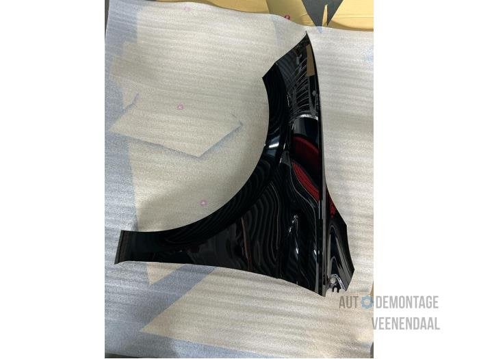 Scherm links-voor van een Volkswagen Polo (L041), -, -, Nieuw, Ophalen of Verzenden