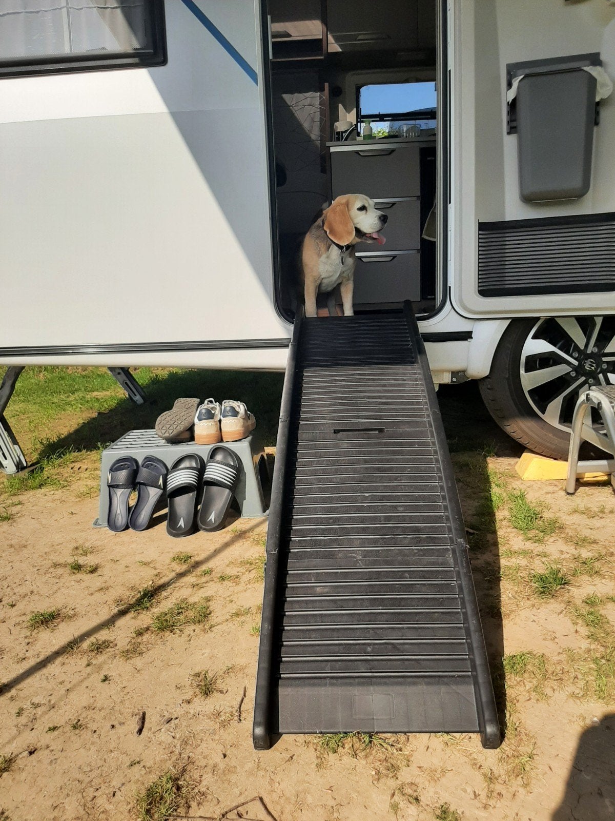 Hondenloopplank voor caravan of auto, Dieren en Toebehoren, Honden-accessoires, Ophalen of Verzenden