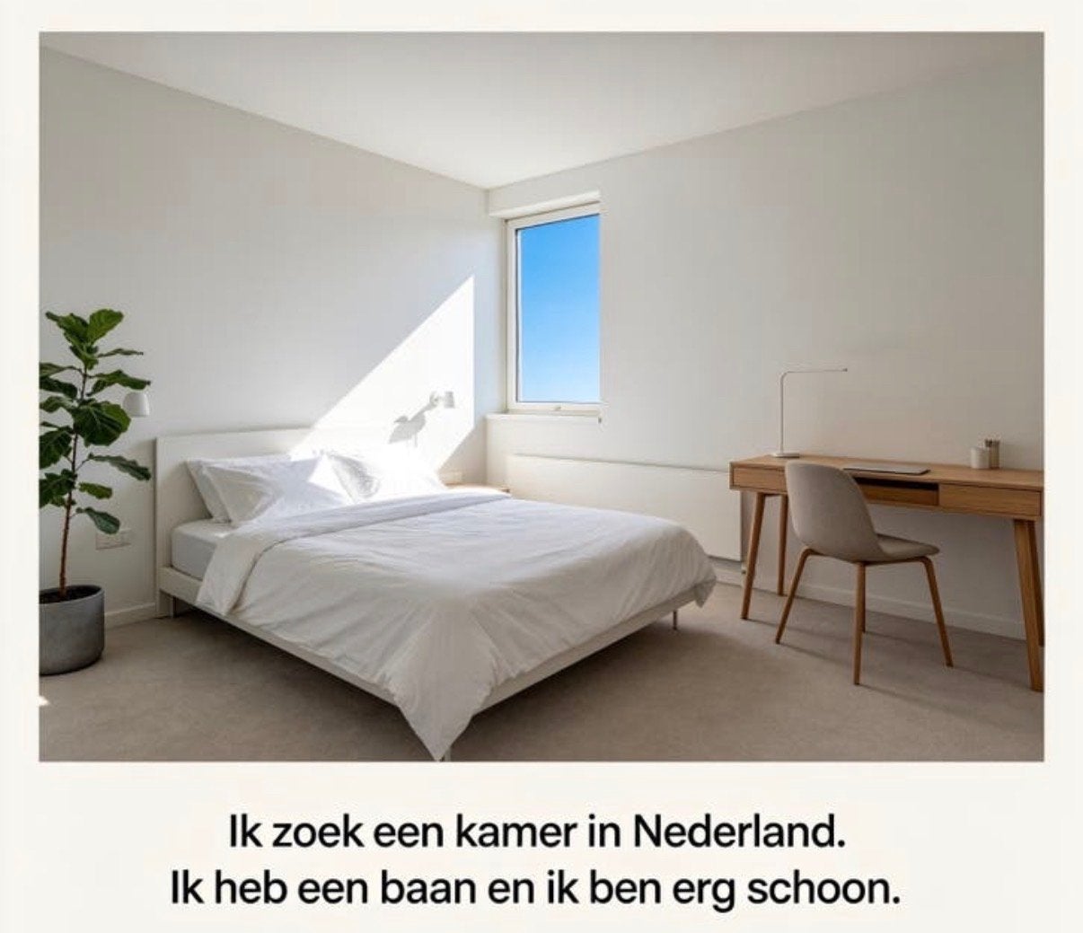 Ik zoek een kamer of studio om te huren.