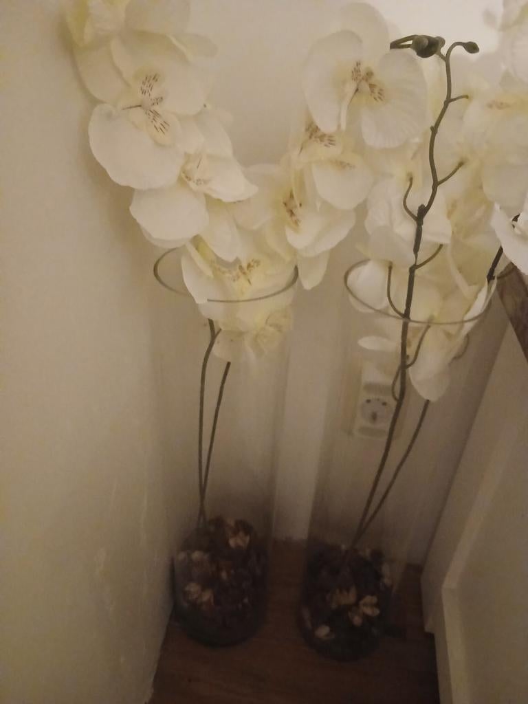 2x Kunst orchideeën in hoge glazen vaas, Ophalen of Verzenden, Zo goed als nieuw, Rond, Binnen