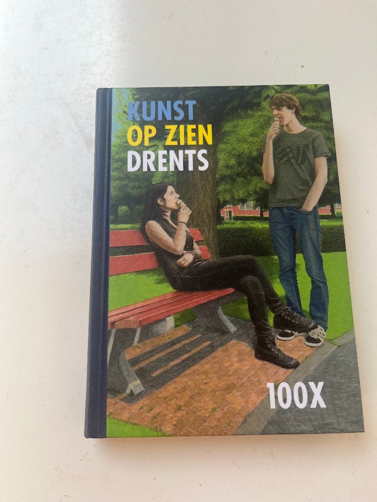 100 x Kunst op zien Drents, Ophalen of Verzenden, Zo goed als nieuw