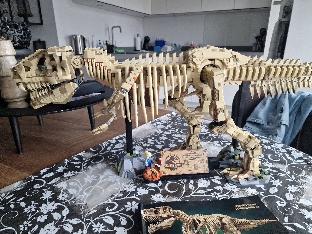 Bouwblokken Tyrannosaurus Rex, Compleet, Overige thema's, Ophalen of Verzenden, Zo goed als nieuw