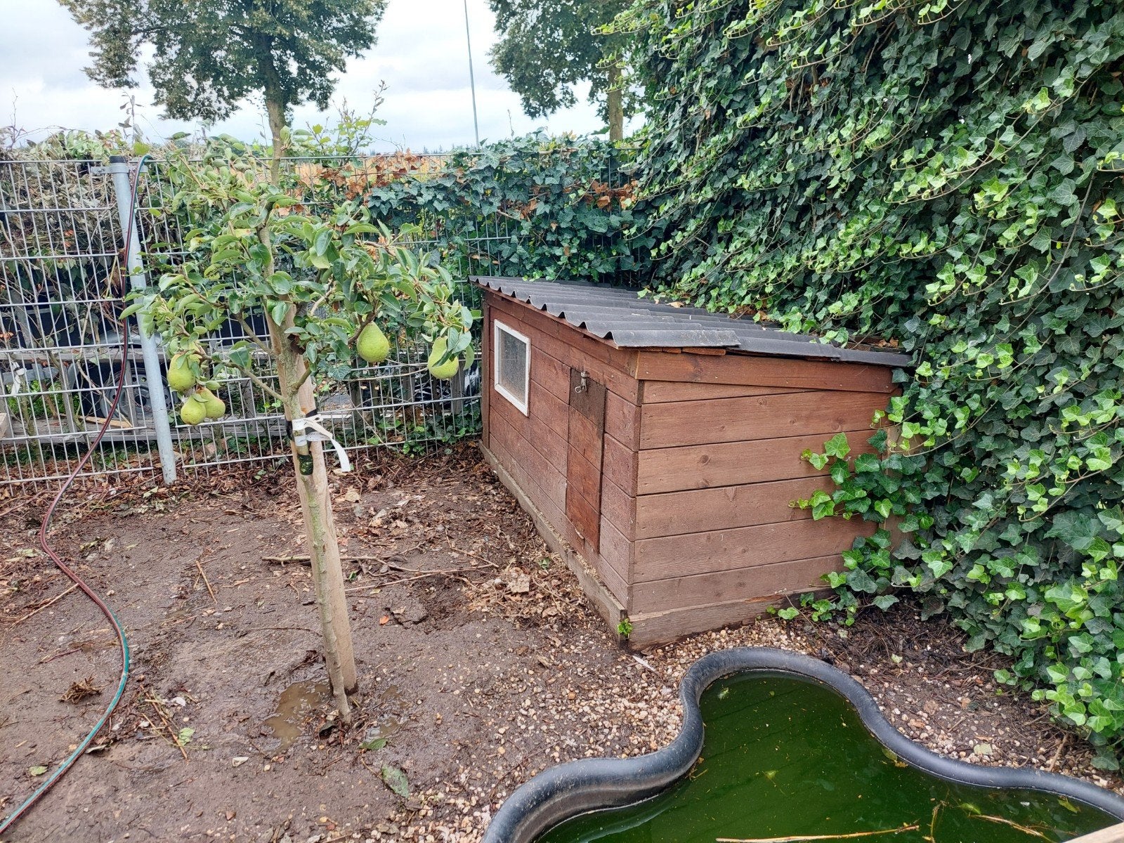 Dierenverblijf, Dieren en Toebehoren, Pluimvee | Toebehoren, Ophalen, Kippenhok of Kippenren