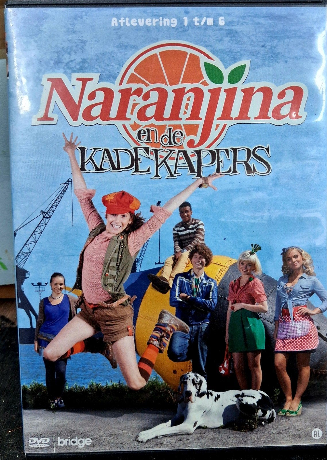 Naranjina en de Kadekapertjes DVD - Aflevering 1 t/m 6, Cd's en Dvd's, Alle leeftijden, Tv-serie, Zo goed als nieuw, Familie