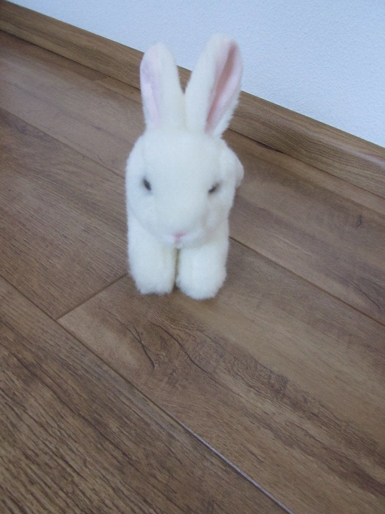 Petjes World wit superzacht pluche nieuw knuffel konijn, Overige merken, Overige karakters, Ophalen of Verzenden, Wasbaar