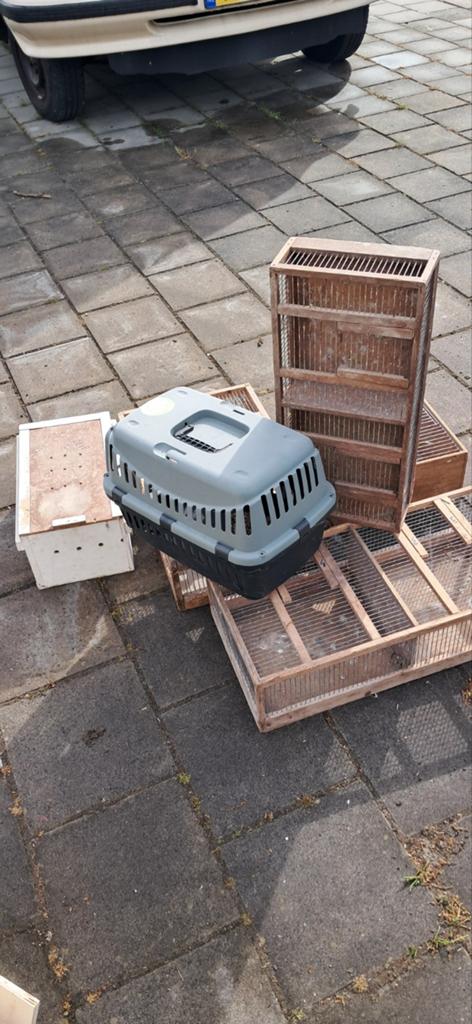 6 vervoers kratten bakken voor vogels, Ophalen, Hout, Vogelkooi