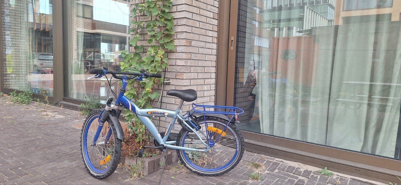 Batavus Snake 22 inch, Fietsen en Brommers, Ophalen, Gebruikt, Batavus, Terugtraprem