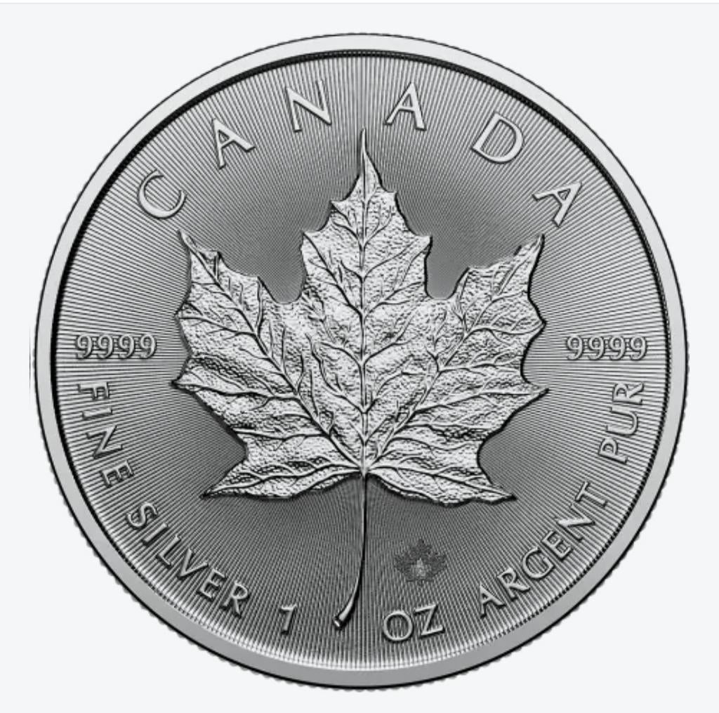 1oz Zilveren Maple Leaf Munt - Canadese Fijnzilver, Ophalen of Verzenden