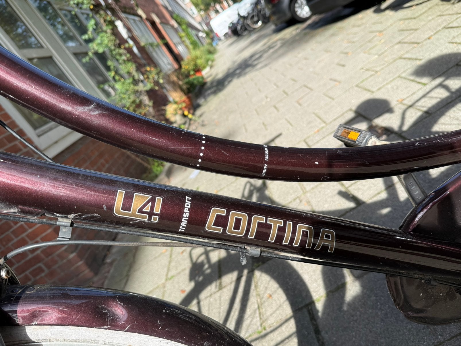 Foto 5 van Cortina fiets