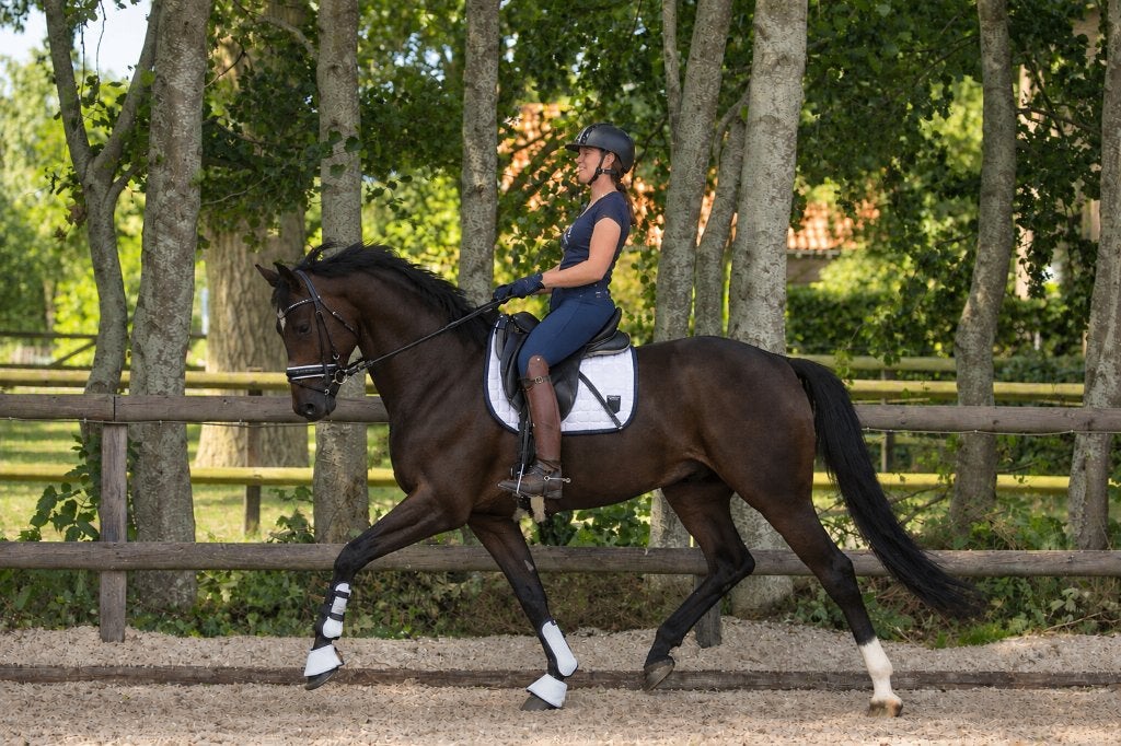 Te koop  3 JARIGE MERRIE, Dieren en Toebehoren, Merrie, Dressuurpaard, 3 tot 6 jaar, 165 tot 170 cm