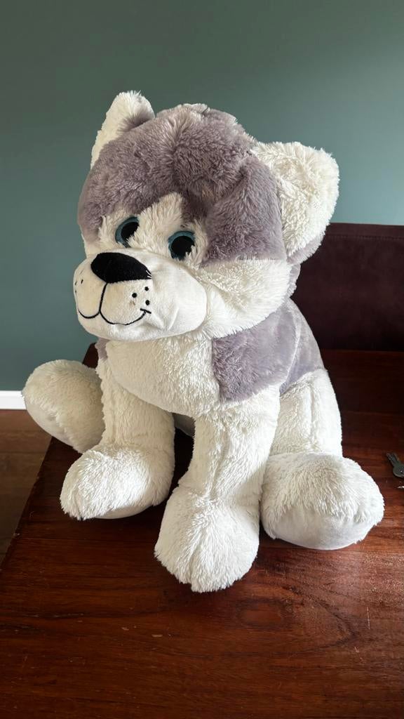 Lieve, grote zachte knuffelhond zoekt nieuw baasje, Ophalen, Overige merken, Overige karakters, Hond