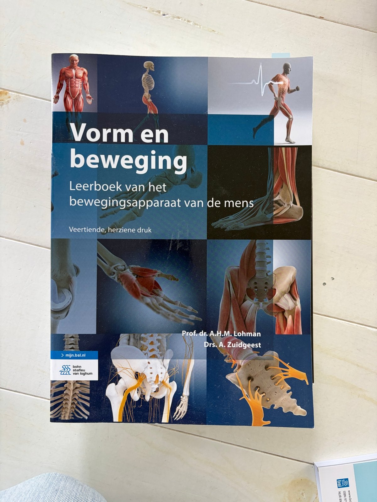 Vorm en beweging - Leerboek bewegingsapparaat mens, Boeken, Ophalen of Verzenden, Beta, Zo goed als nieuw, HBO