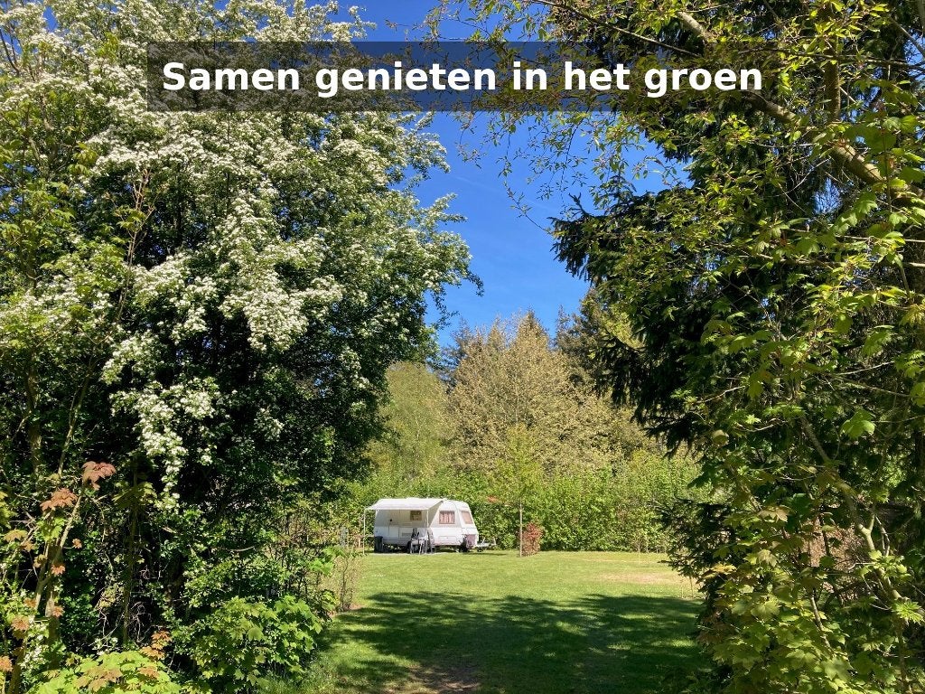 Kamperen Veluwe – rust & natuur | camping ’t Ravenest, Vakantie, Internet, In bos, Landelijk
