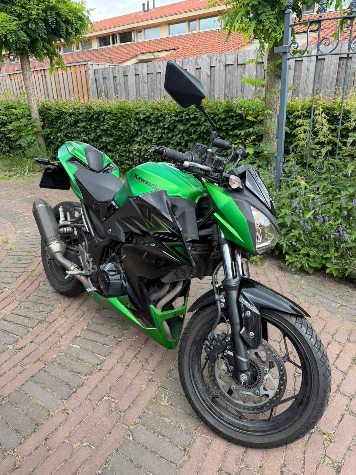 Kawasaki Z300 Naked Bike - Groen, A2 rijbewijs, 2 cilinders, Particulier, Minimaal motorrijbewijs A2, ABS
