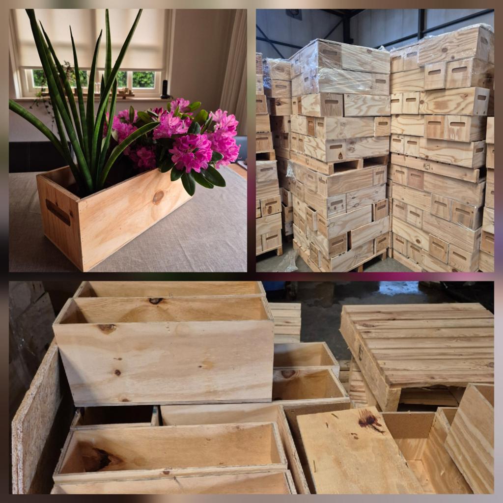 Leuke houten kistjes 51x20x20 per pallet 60 stuks, Ophalen, Rechthoekig, Hout