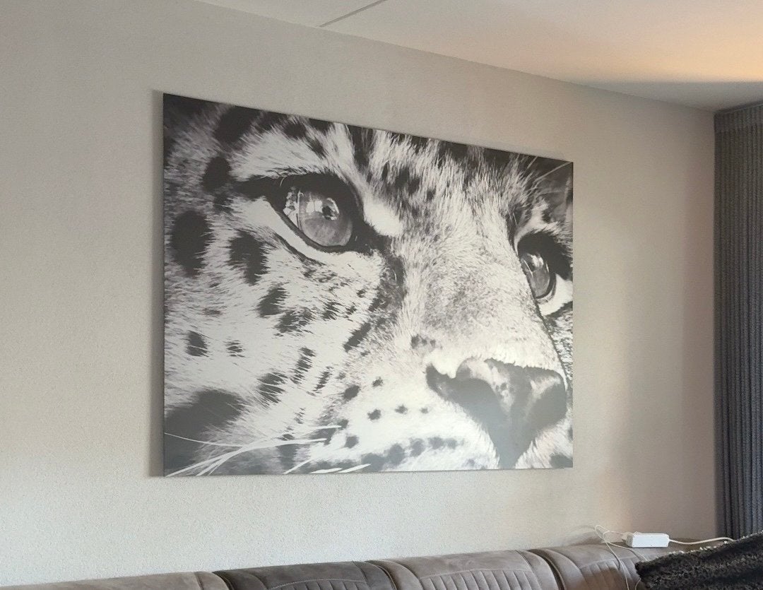Luxe Zwart-Wit Luipaard Fotopaneel op Geborsteld Aluminium, Ophalen, 125 cm of meer, Zo goed als nieuw, Foto of Poster