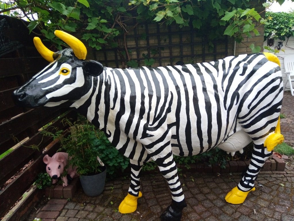 koe, Ophalen, Zo goed als nieuw, Kunststof