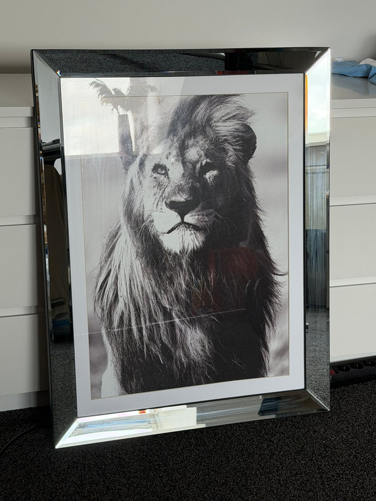 XXL Eric Kuster spiegellijst met leeuwenfoto 90x70 cm, Ophalen, Zo goed als nieuw, Spiegellijst