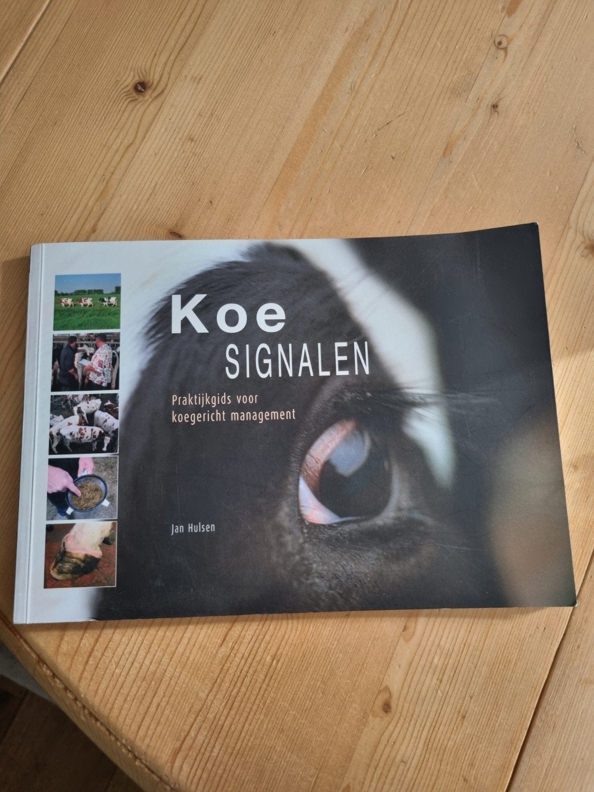 Koe SIGNALEN: Praktijkgids voor koegericht management, Ophalen of Verzenden, Zo goed als nieuw, Jan Hulsen, Overige wetenschappen