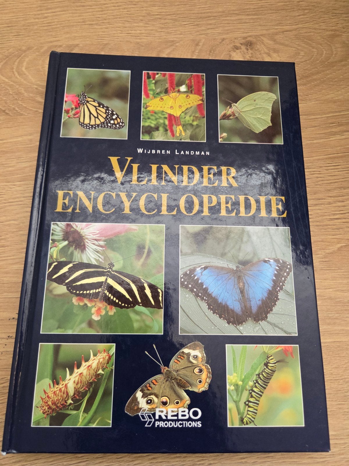 Vlinderencyclopedie - Wijbren Landman, Boeken, Wijbren Landman, Ophalen of Verzenden, Zo goed als nieuw, Los deel