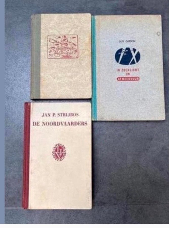 Vintage boeken: Jan P. Strijbos en Guy Gibson, Ophalen of Verzenden, Gelezen, Nederland