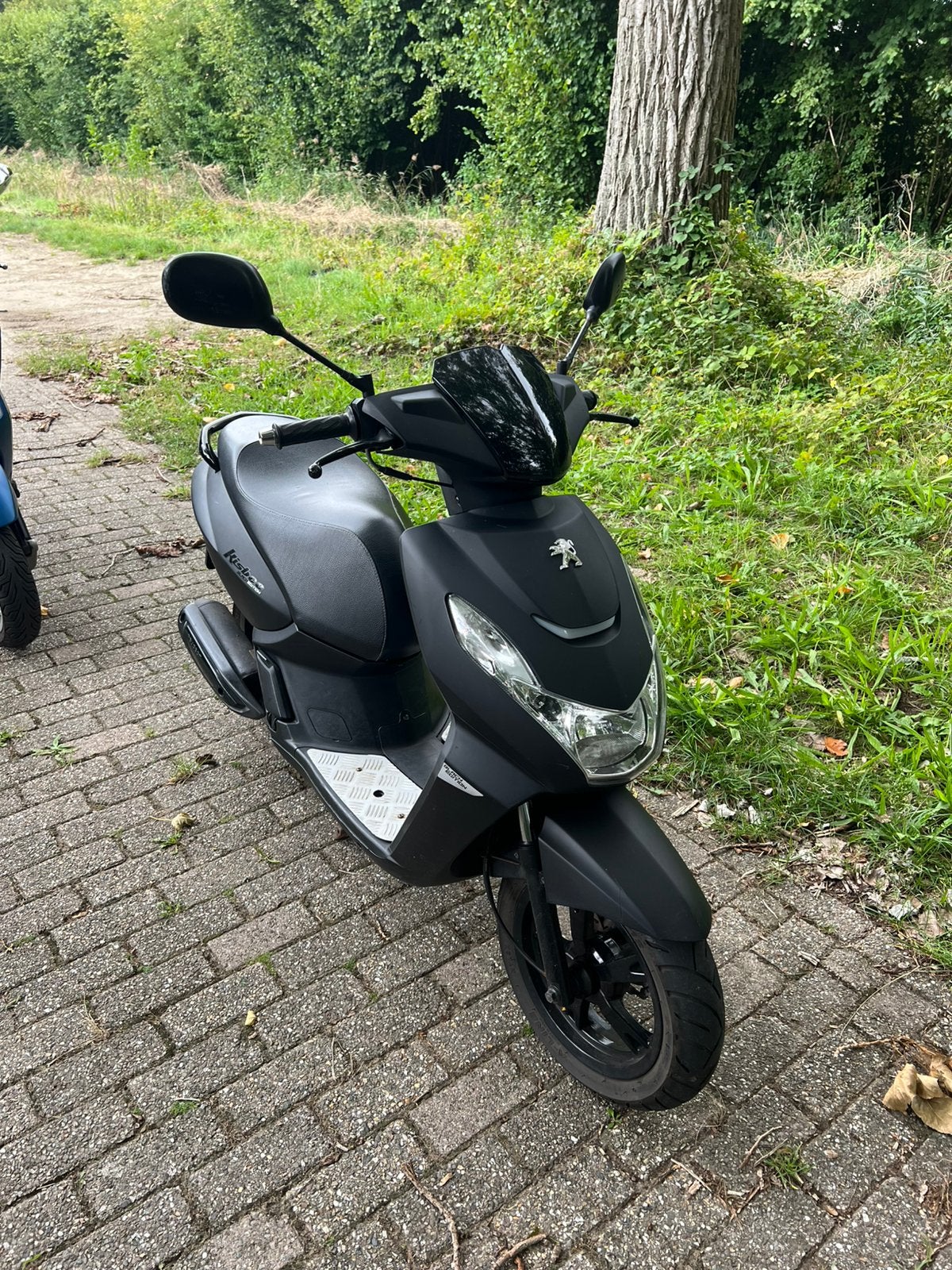 Peugoet Kisbee RS, Gebruikt, Overige modellen, Maximaal 45 km/u, 0 versnellingen