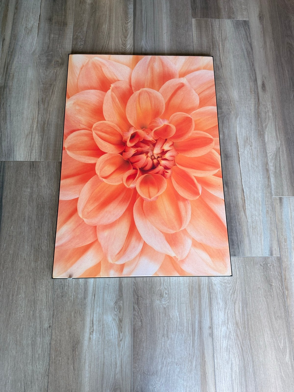 Werk ad Muur Artframe met doek 'Oranje chrysant' (102x69), Huis en Inrichting, Nieuw, Ophalen of Verzenden, Print, 100 tot 125 cm