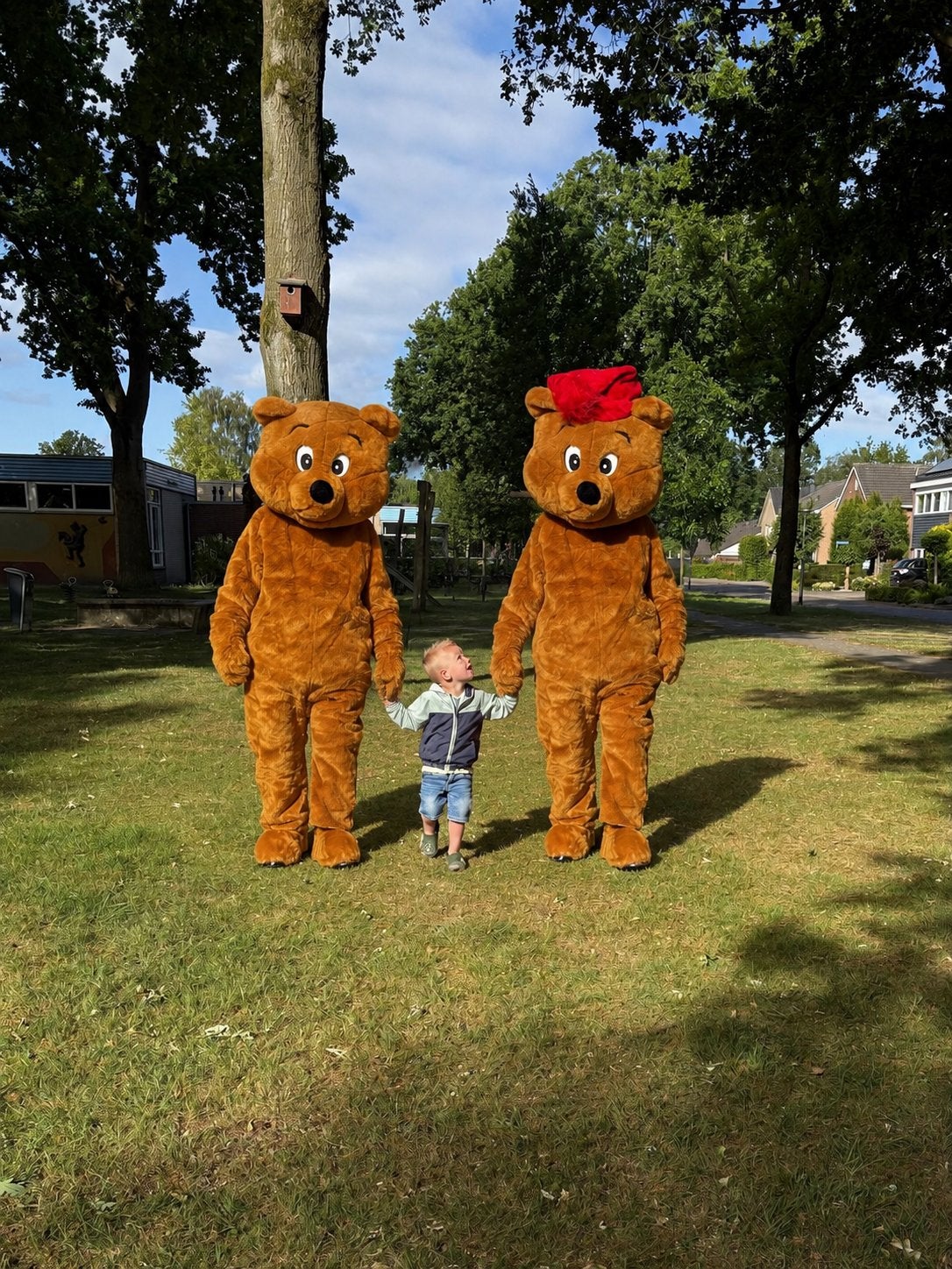 Grote lieve knuffel beer te huur beer met of zonder muts, Ophalen, Overige