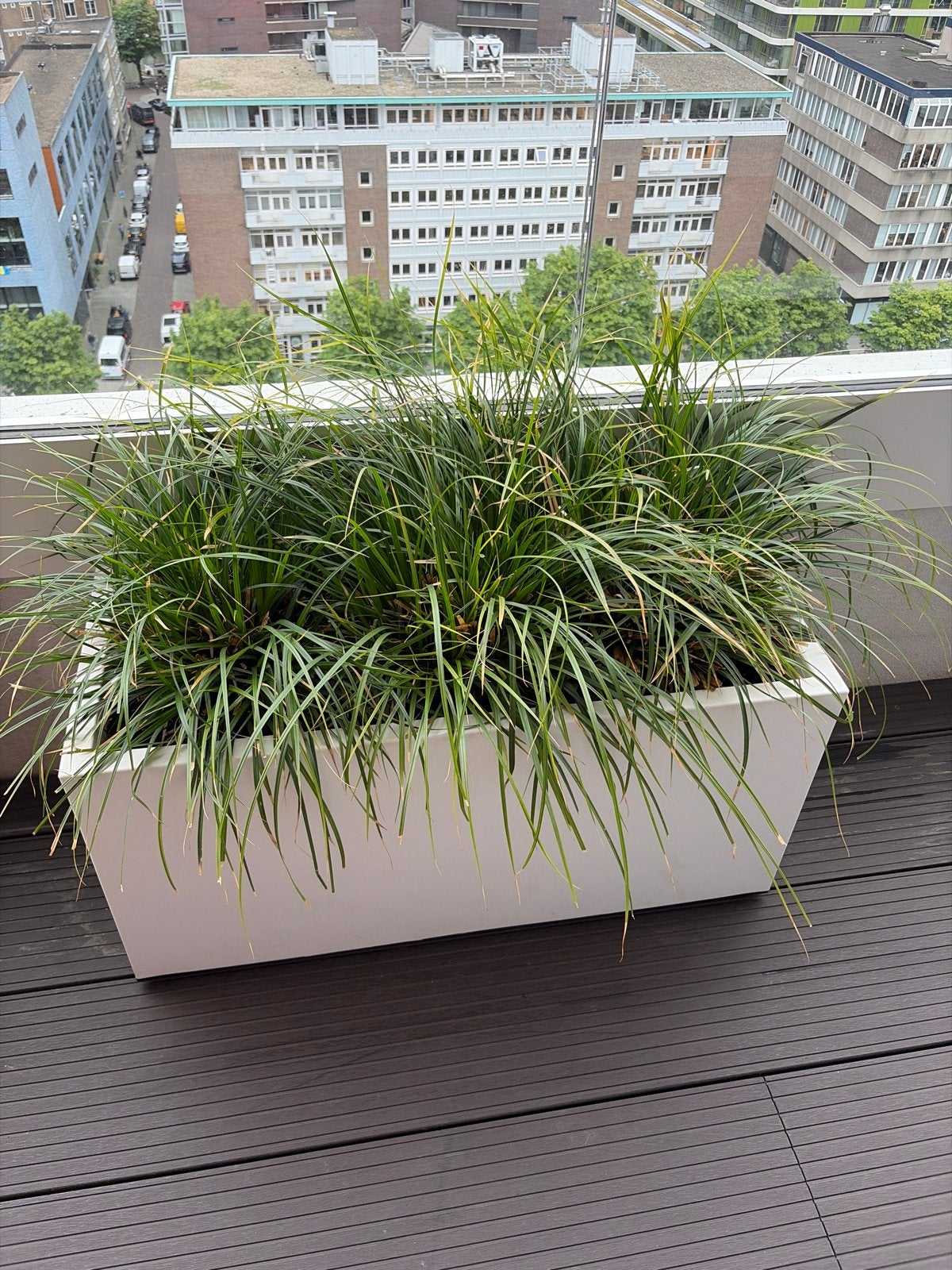 Elho plantenbak kunststof met plant, Tuin en Terras, Bloembakken en Plantenbakken, Ophalen, Kunststof, Gebruikt, Balkon