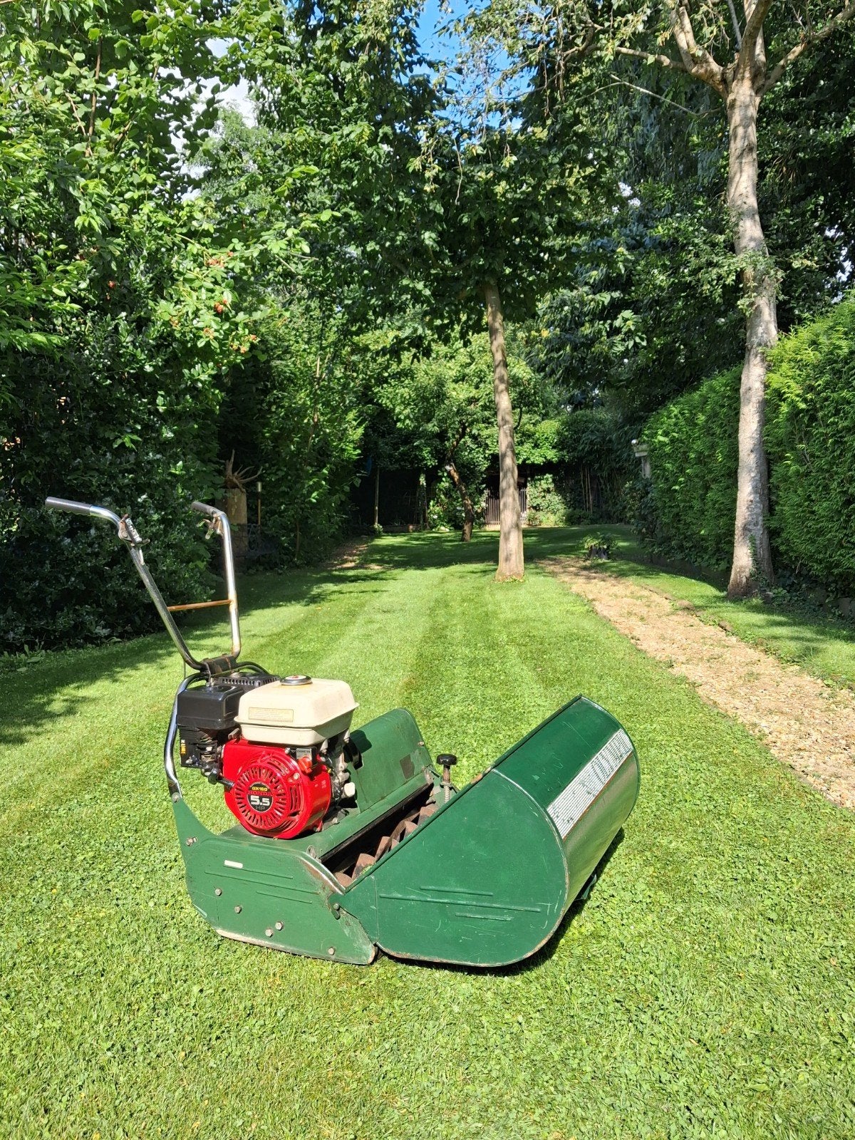 olimpic Maasport  60 cm breed, Tuin en Terras, Ophalen of Verzenden, 50 cm of meer