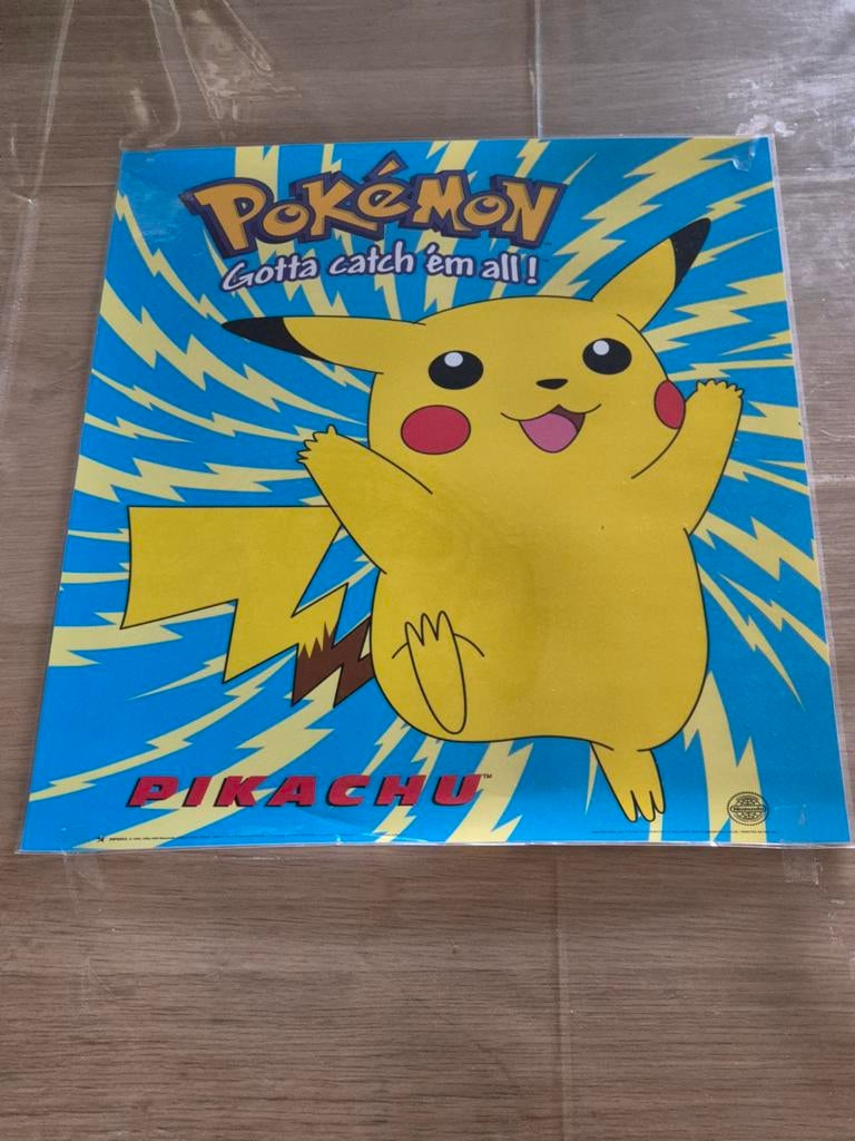 Pokémon Pikachu Map/Poster - Gotta Catch 'Em All!, Ophalen of Verzenden, Zo goed als nieuw, Overige typen
