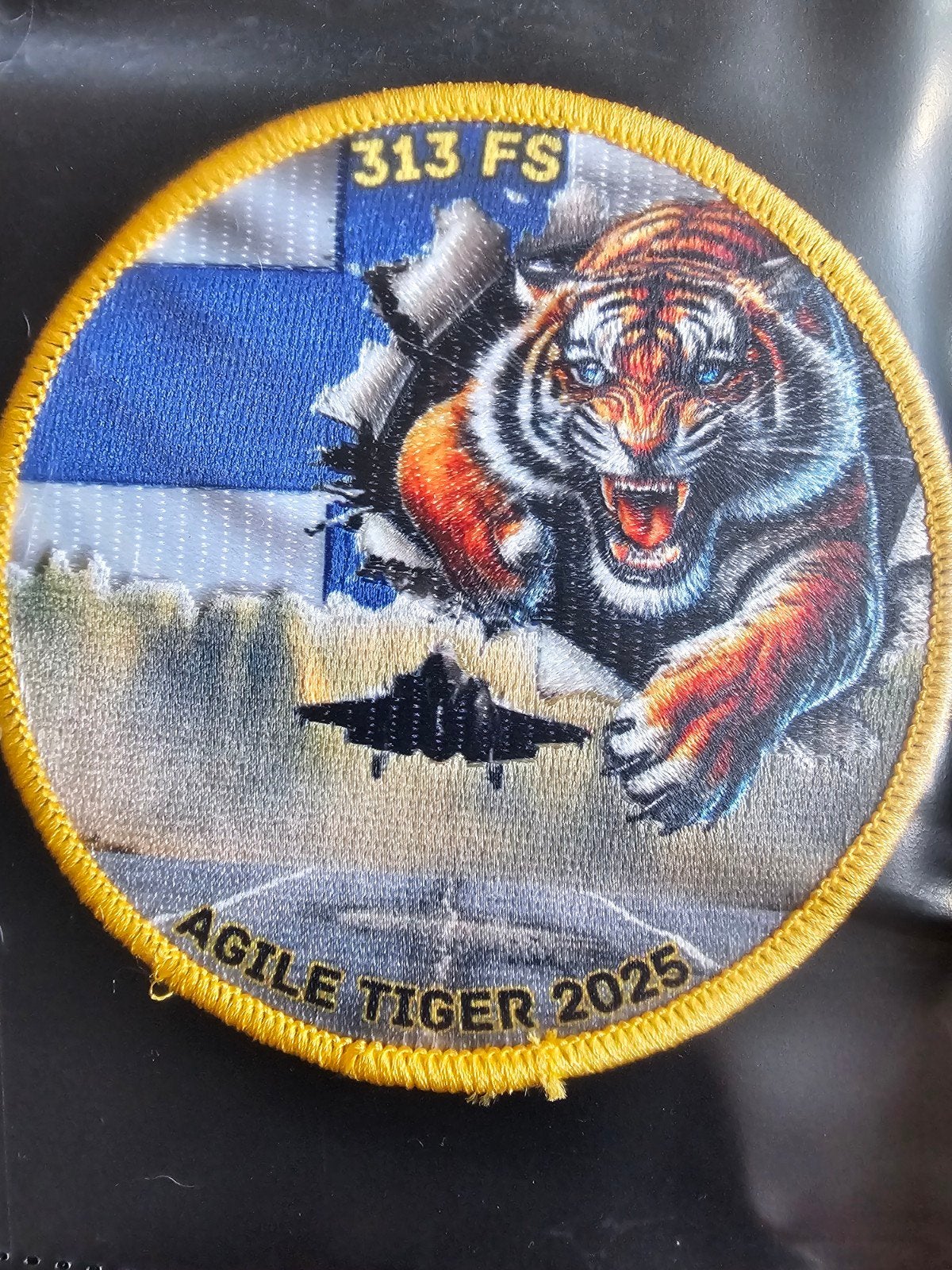 313 FS 2025, Ophalen of Verzenden, Zo goed als nieuw, Patch, Badge of Embleem