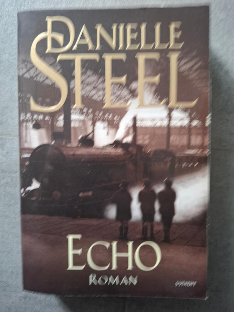 Danielle Steel - Echo, Ophalen of Verzenden, Gelezen, Danielle Steel