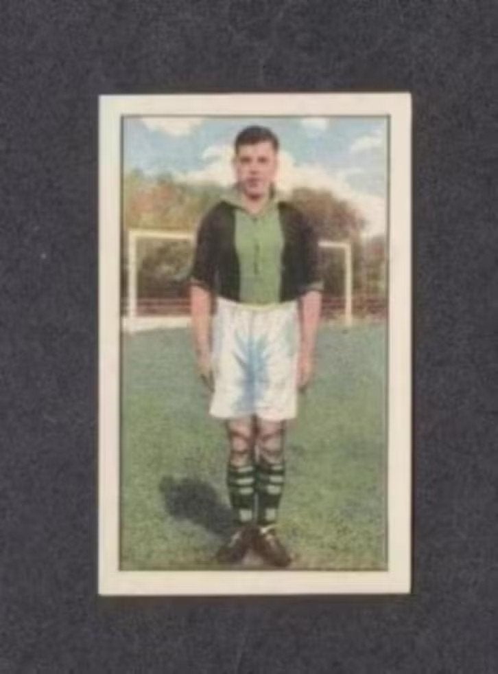 Voetbalplaatje J. van Nellen DHC Delft (108)., Ophalen of Verzenden, Zo goed als nieuw