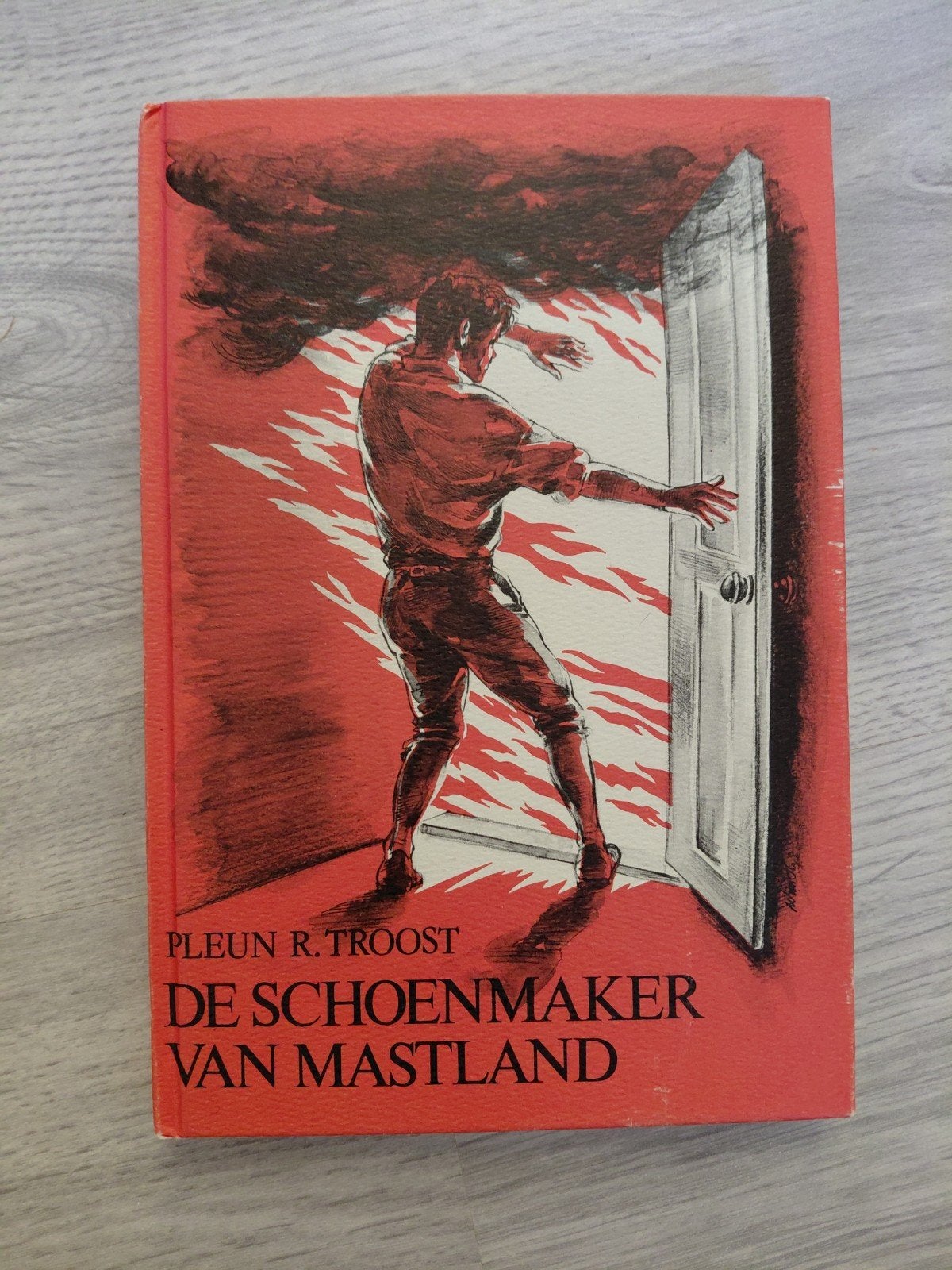 Pleun R.Troost  De schoenmaker van Mastland, Ophalen of Verzenden, Gelezen
