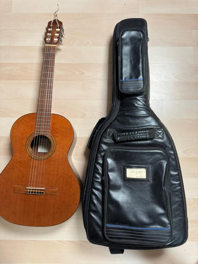 Juan Luis Cayuela handgemaakte Spaanse klassieke gitaar, Muziek en Instrumenten, Ophalen of Verzenden, Zo goed als nieuw, Klassieke of Spaanse gitaar
