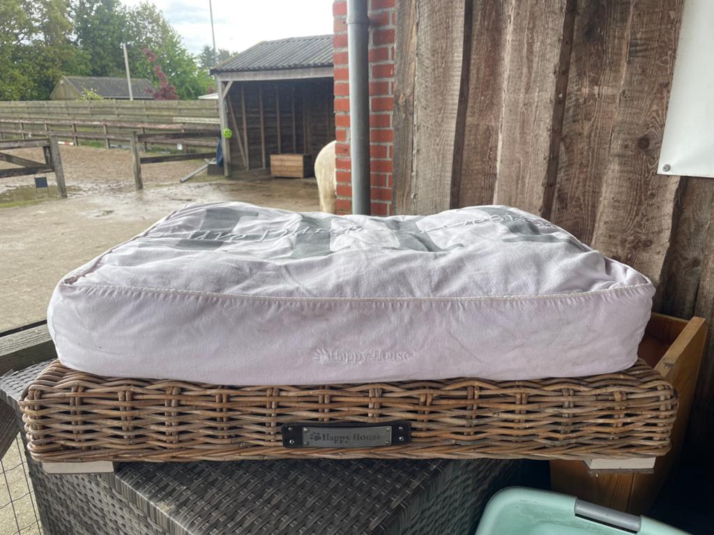 Rieten hondenbed met kussen, Ophalen, Zo goed als nieuw, Riet
