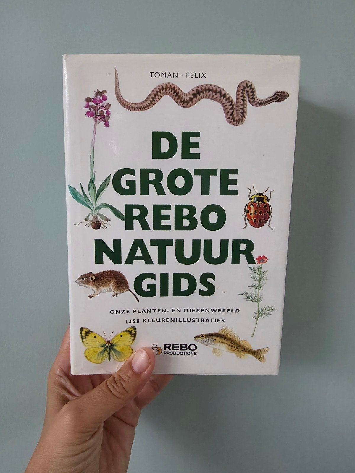 De GROTE rebo Natuurgids - hardcover - 1350 illustraties, Ophalen of Verzenden, Gelezen, Natuur algemeen