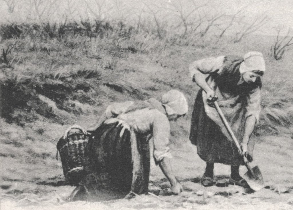 984337	Scheveningen	Nalezen in de Duinen	1911 ZH	Gelopen, Ophalen of Verzenden, Voor 1920, Gelopen, Zuid-Holland