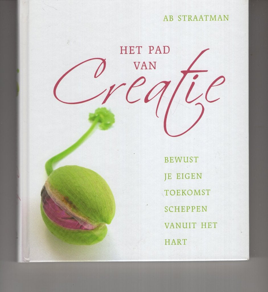 Het pad van creatie Ab Straatman, Ophalen of Verzenden, Zo goed als nieuw, Spiritualiteit algemeen, Overige typen